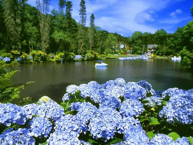 Caminho Das Colinas Gramado Kültér fotó