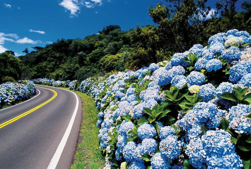 Caminho Das Colinas Gramado Kültér fotó
