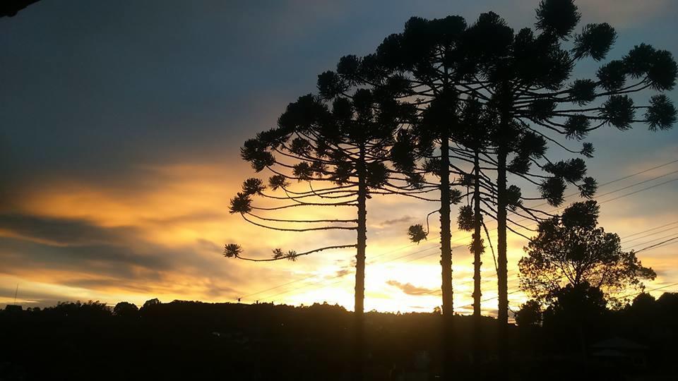Caminho Das Colinas Gramado Kültér fotó