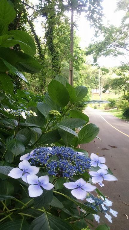 Caminho Das Colinas Gramado Kültér fotó