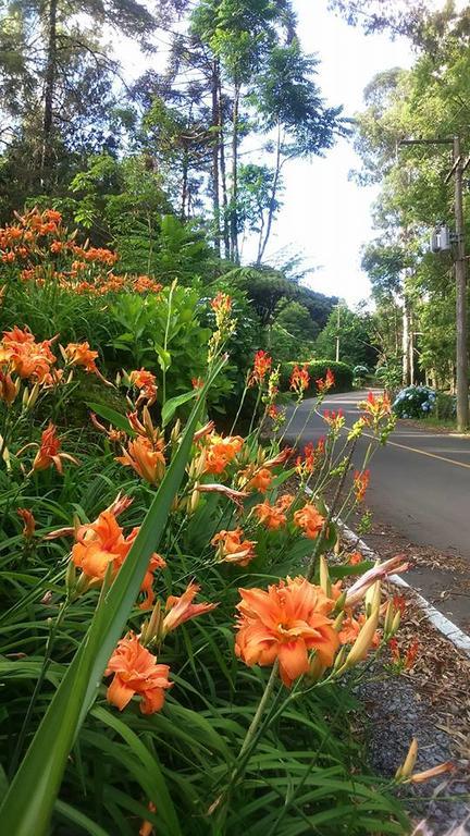 Caminho Das Colinas Gramado Kültér fotó
