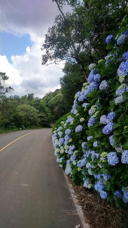 Caminho Das Colinas Gramado Kültér fotó